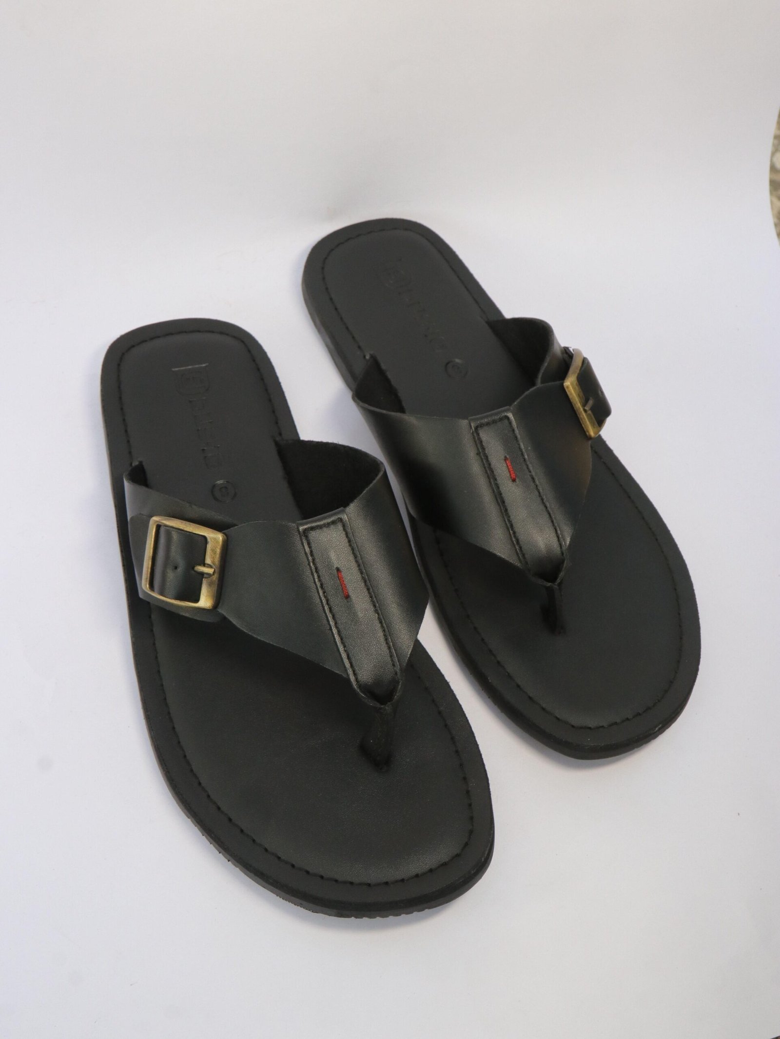 img101 1 scaled 1.jpg